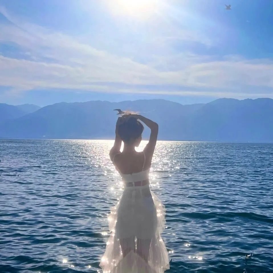鲨鱼湖泊