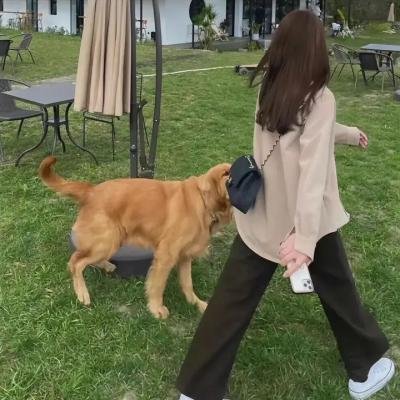 外来妹